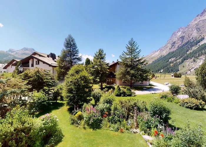 Selvas シルス・マリア