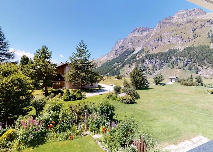 Selvas シルス・マリア